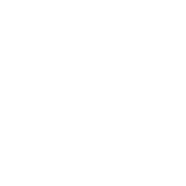 icon consultation_white