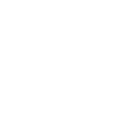 icon proj management_white
